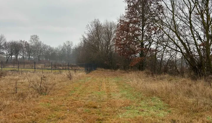 Działka budowlana Płaciszewo