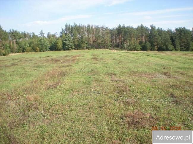 Działka rolna Wasilków. Zdjęcie 2