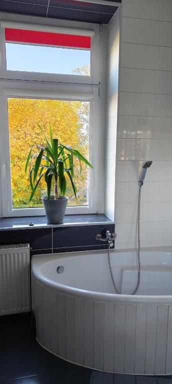 Mieszkanie 1-pokojowe Kluczbork Centrum, ul. Katowicka. Zdjęcie 8