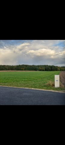 Działka rolno-budowlana Grabów-Wójtostwo, os. Leśne. Zdjęcie 1