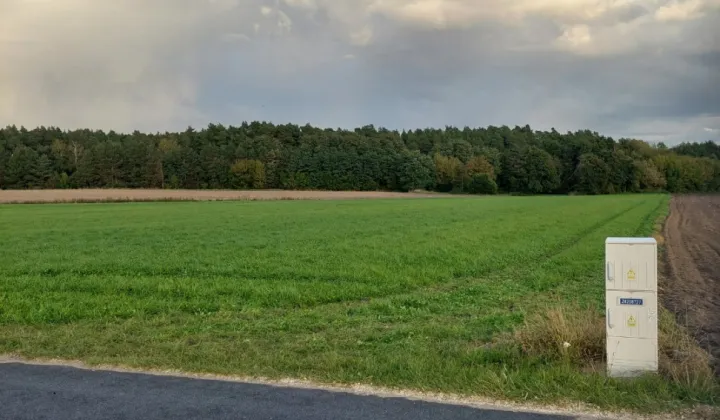 Działka rolno-budowlana Grabów-Wójtostwo, os. Leśne