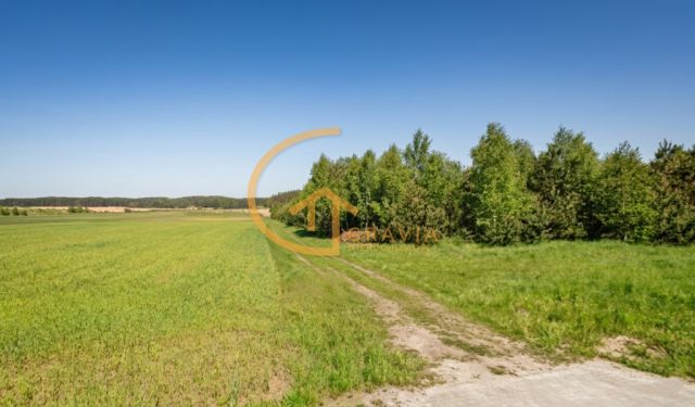 Działka leśna Linia, ul. Długa. Zdjęcie 2