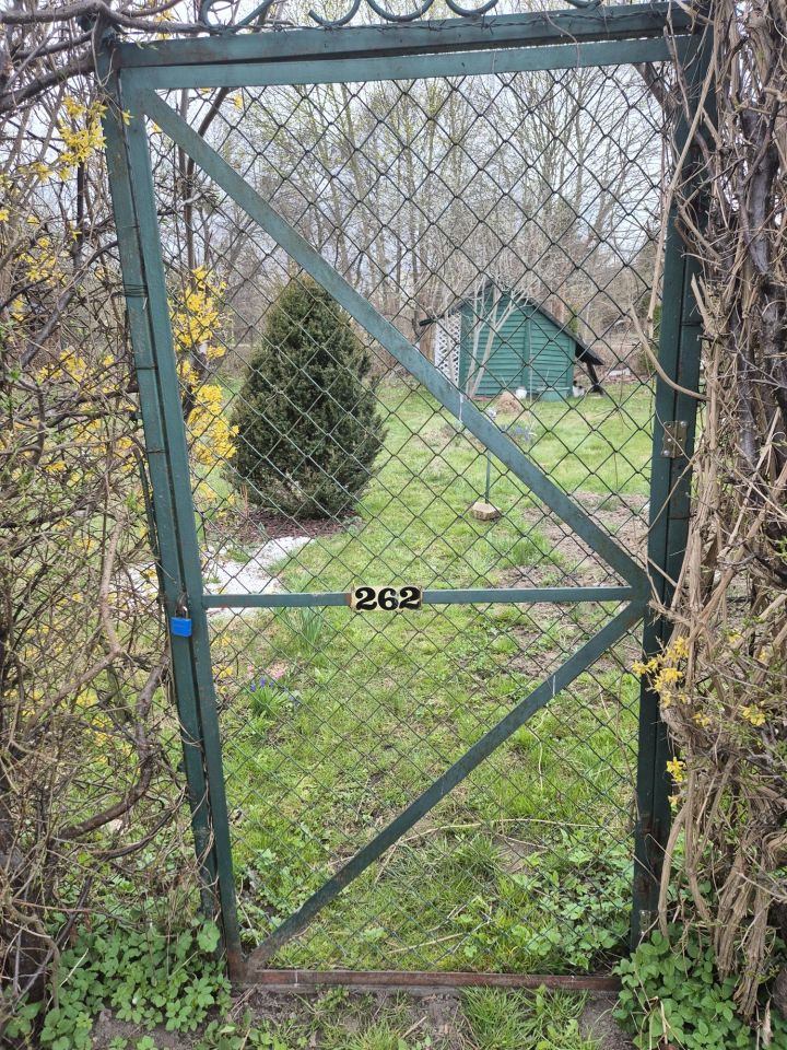 Działka rod Olsztyn, ul. Michała Kajki. Zdjęcie 4