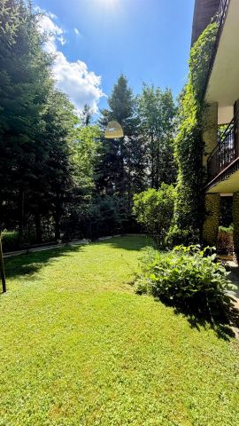 bliźniak Krynica-Zdrój. Zdjęcie 3