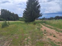 Działka rolno-budowlana Golce. Zdjęcie 1