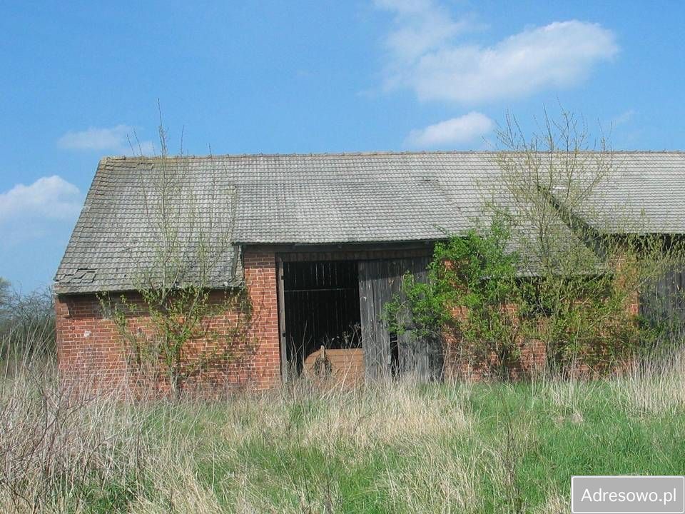 Działka rolna Chwałowice. Zdjęcie 3