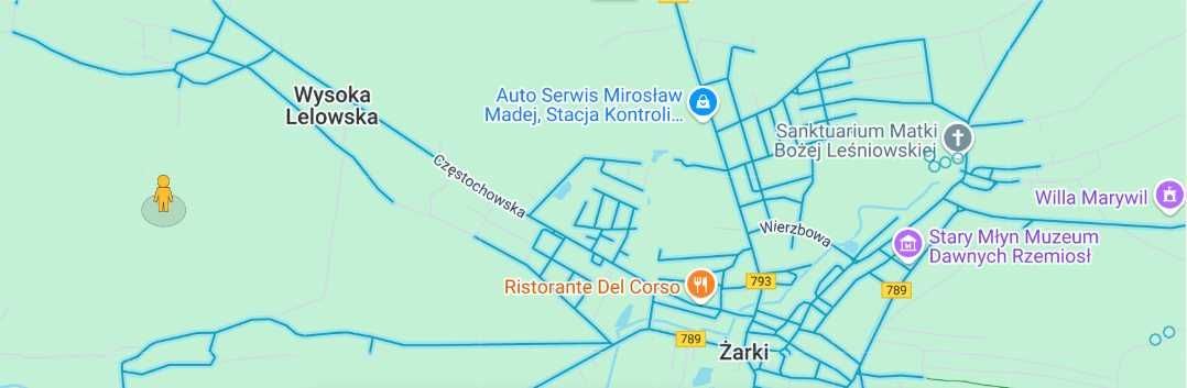 Działka rolna Wysoka Lelowska. Zdjęcie 4