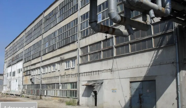 Hala/magazyn Trzebinia