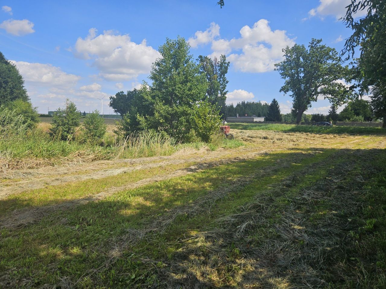 Działka rolna Runowo Krajeńskie. Zdjęcie 8