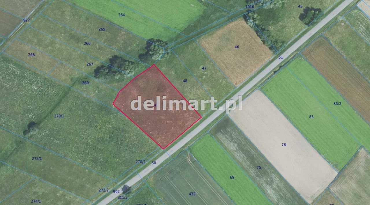 Działka rolna Jędruszkowce. Zdjęcie 8