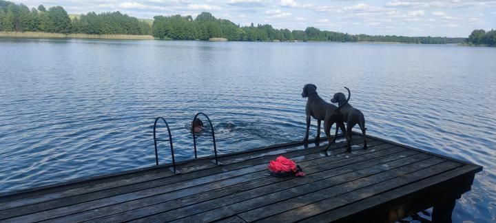 Działka rekreacyjna Radzynek. Zdjęcie 5