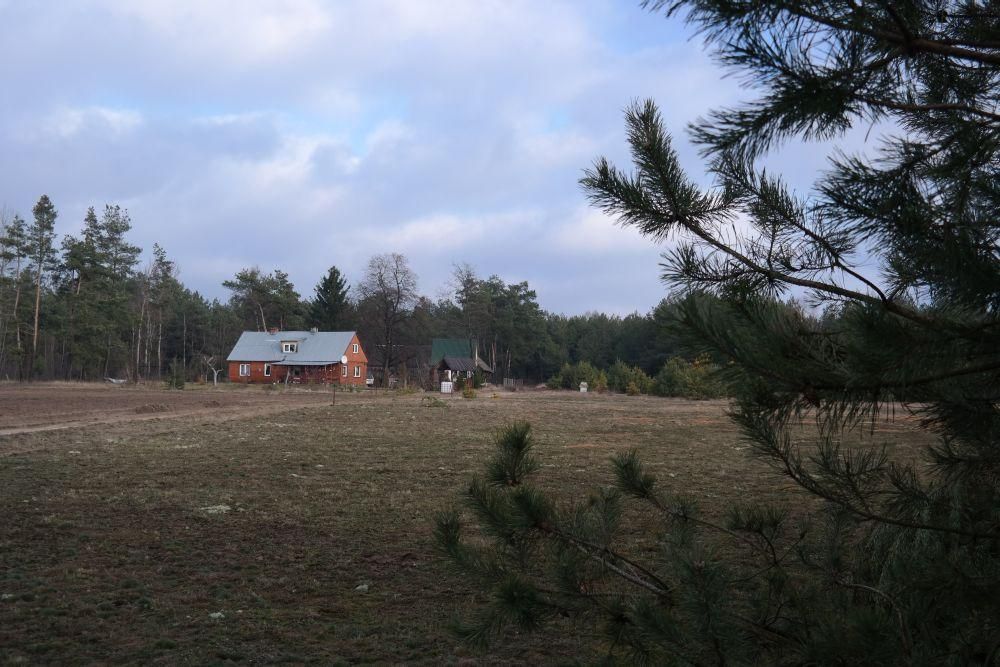 Działka budowlana Golanka. Zdjęcie 4