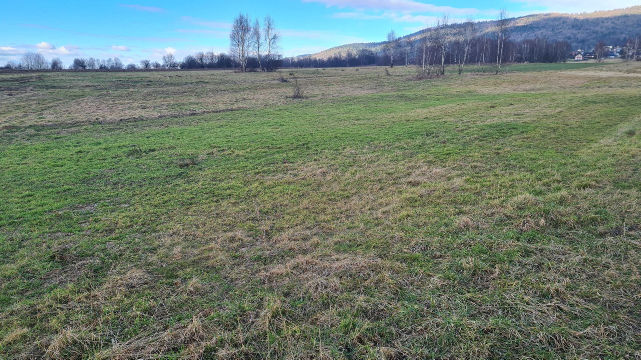 Działka rolno-budowlana Wilkowice. Zdjęcie 3