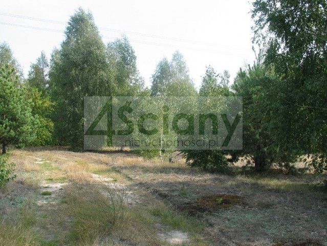 Działka budowlana Chotomów. Zdjęcie 4