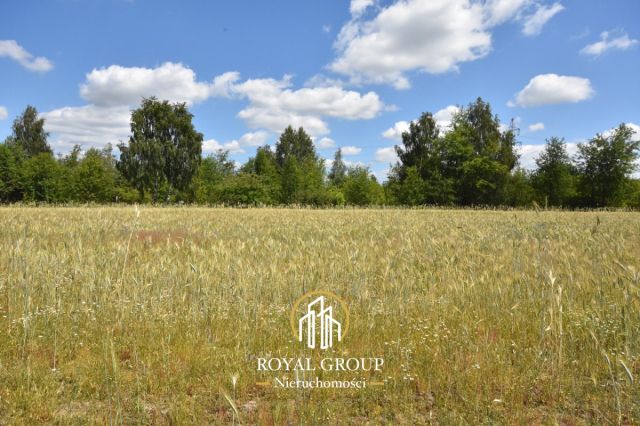 Działka budowlana Lubartów, ul. Lipowa. Zdjęcie 2