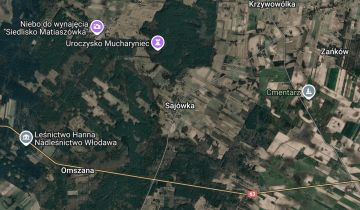 Działka leśna Sajówka Szklarowe