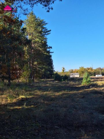 Działka budowlana Żółwieniec. Zdjęcie 8