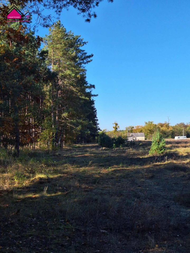 Działka budowlana Żółwieniec. Zdjęcie 8