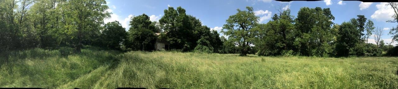 Działka leśna Gusin. Zdjęcie 4