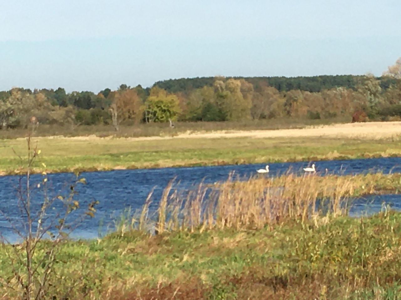 Działka budowlana Czarnów, ul. Długa. Zdjęcie 1