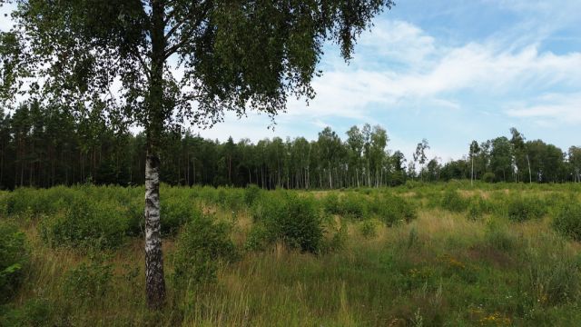 Działka budowlana Dąbrowica. Zdjęcie 24