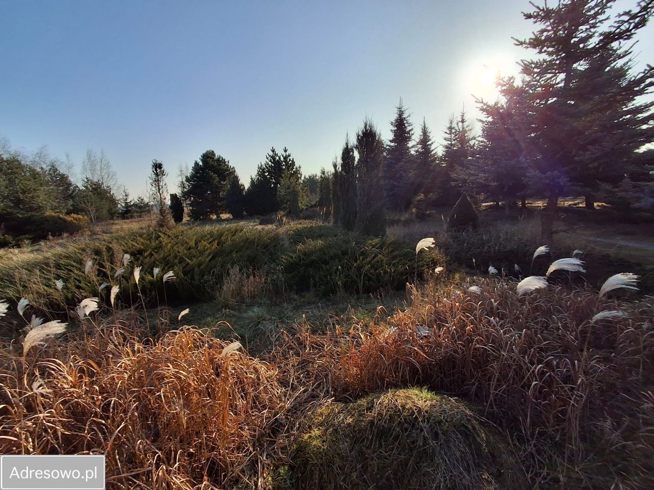 dom wolnostojący, 6 pokoi Murzynowo Leśne, ul. Poznańska. Zdjęcie 8