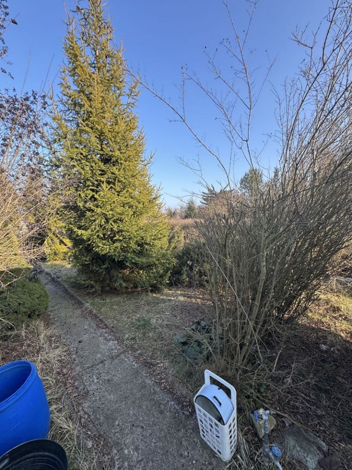 Działka rod Łódź Górna, ul. Andrzeja Frycza-Modrzewskiego. Zdjęcie 8