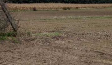 Działka rolna Poddębice