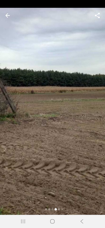 Działka rolna Poddębice. Zdjęcie 2