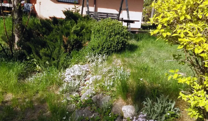 dom wolnostojący, 6 pokoi Skorzewo, W