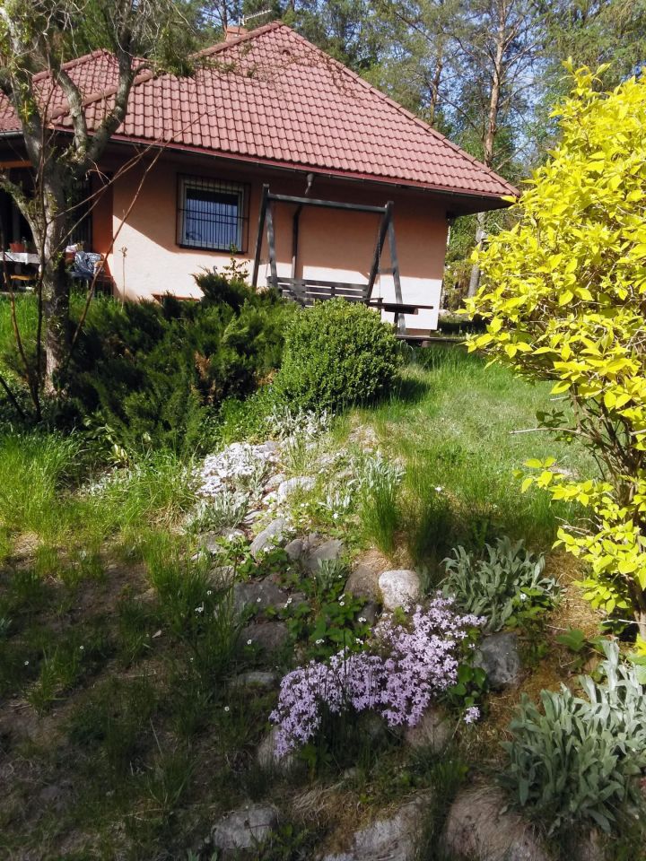 dom wolnostojący, 6 pokoi Skorzewo. Zdjęcie 8