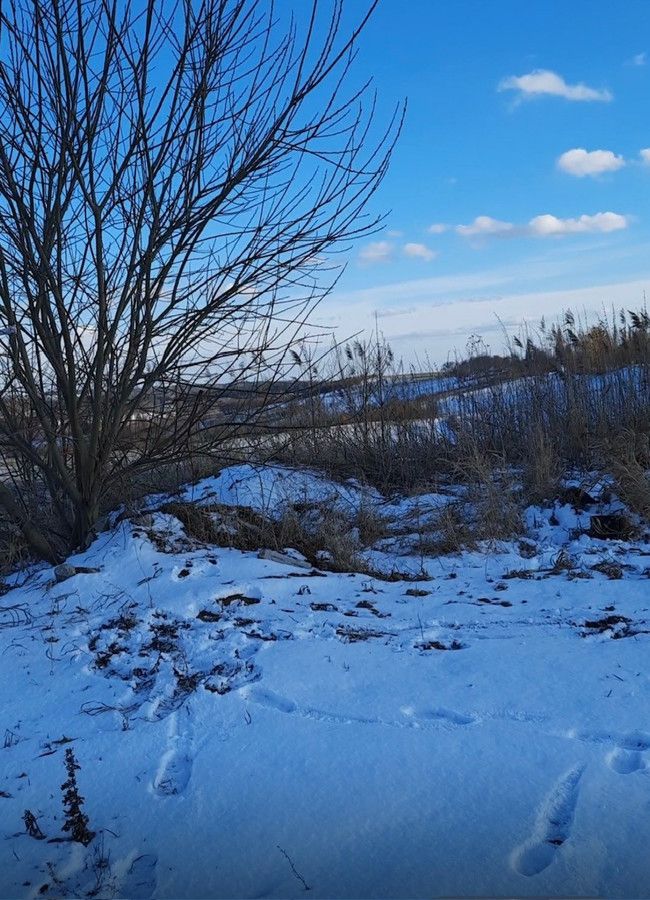 Działka rolna Muntowo. Zdjęcie 4