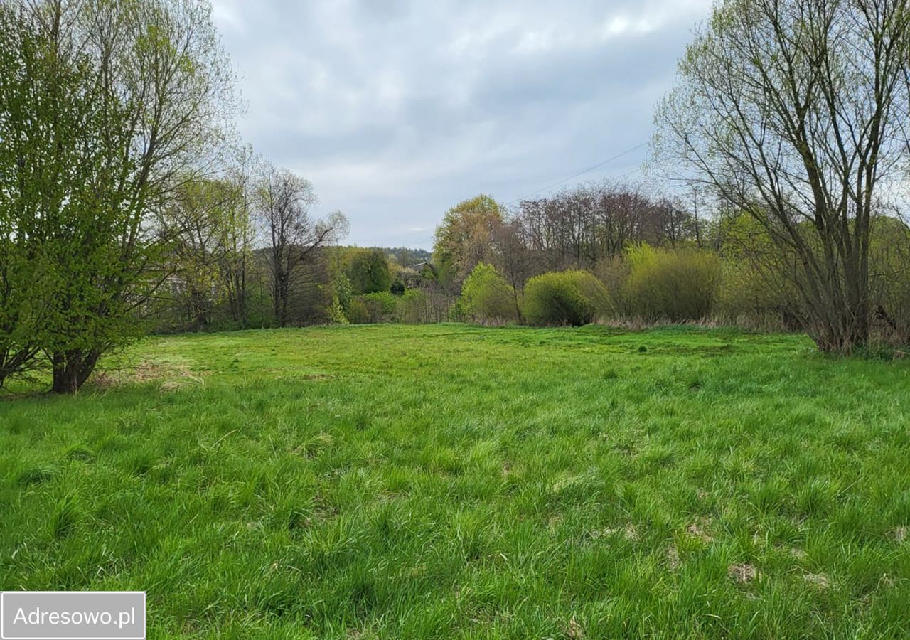 Działka siedliskowa Wólka Abramowska. Zdjęcie 10
