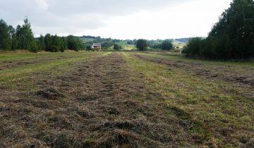 Działka rolno-budowlana Krajno-Zagórze Zagórze Pierwsze
