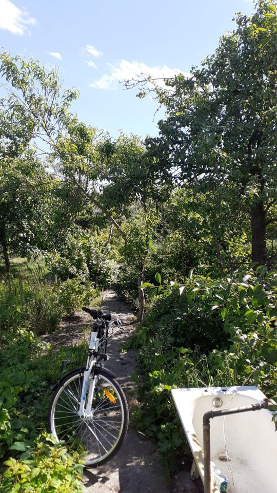 Działka rod Szczecin Krzekowo, ul. Wronia. Zdjęcie 4