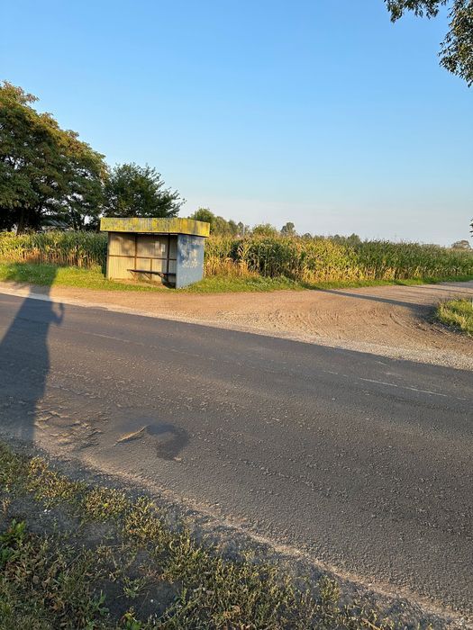 gospodarstwo Czerwona Niwa. Zdjęcie 8