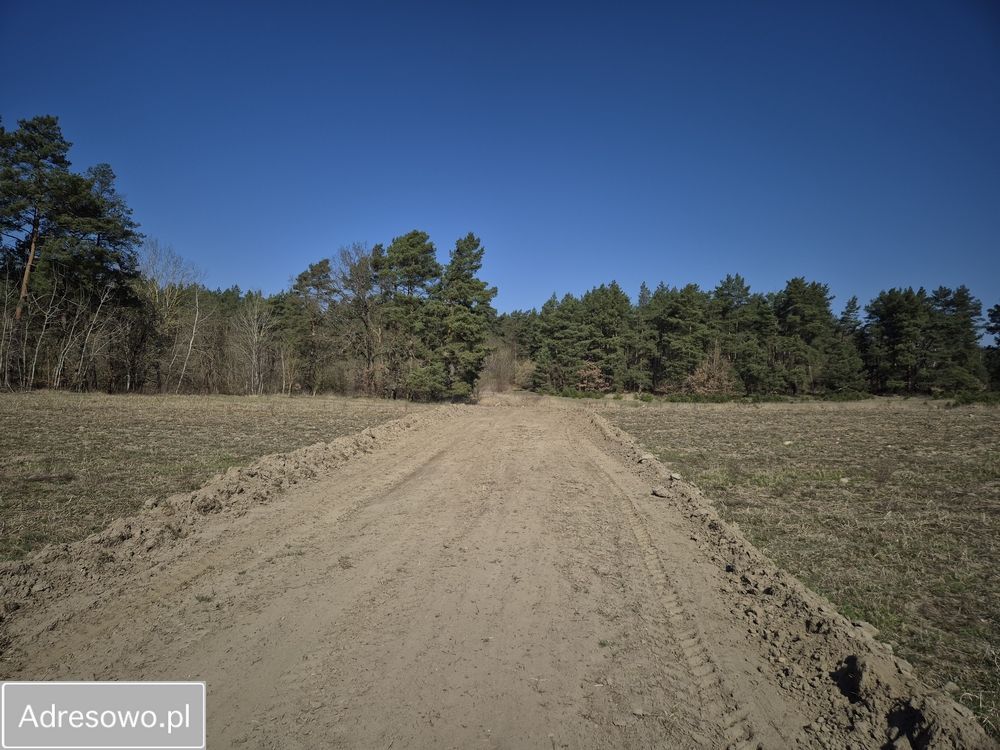 Działka rekreacyjna Chłopowo. Zdjęcie 9