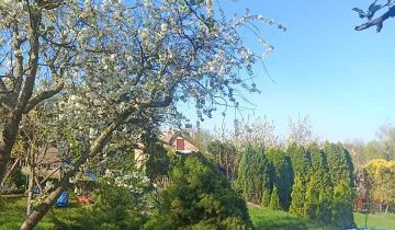 Działka rod Psarskie, ul. Sikorskiego