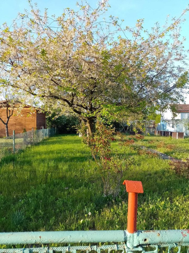 Działka rod Tczew, ul. Targowa. Zdjęcie 8