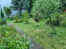 Działka rod Łódź Polesie, ul. Konstantynowska. Zdjęcie 1