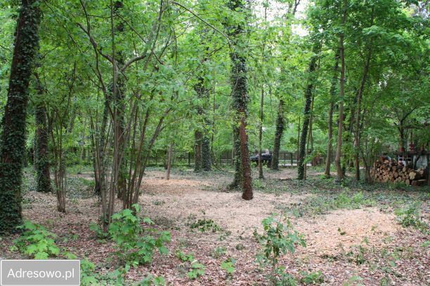 Działka budowlana Podkowa Leśna, ul. Wiewiórek. Zdjęcie 8