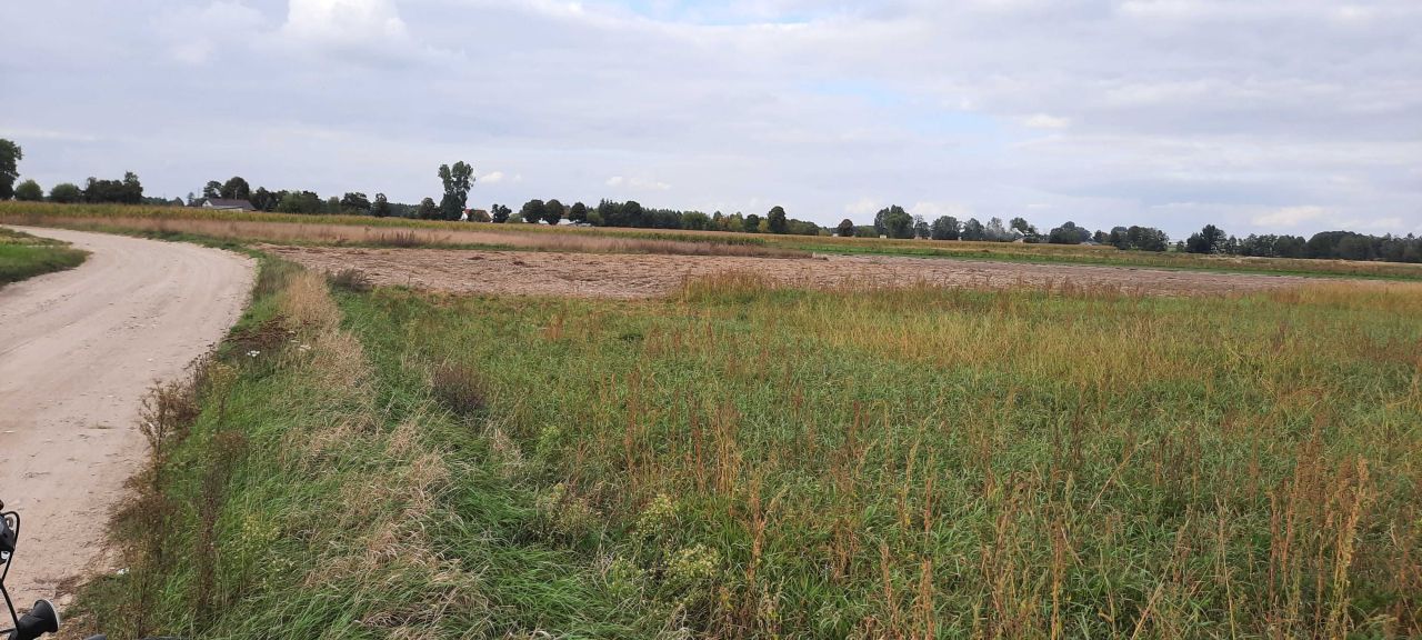 Działka budowlana Radomice. Zdjęcie 2