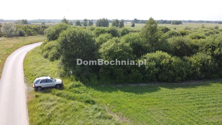 Działka inwestycyjna Krzeczów. Zdjęcie 15