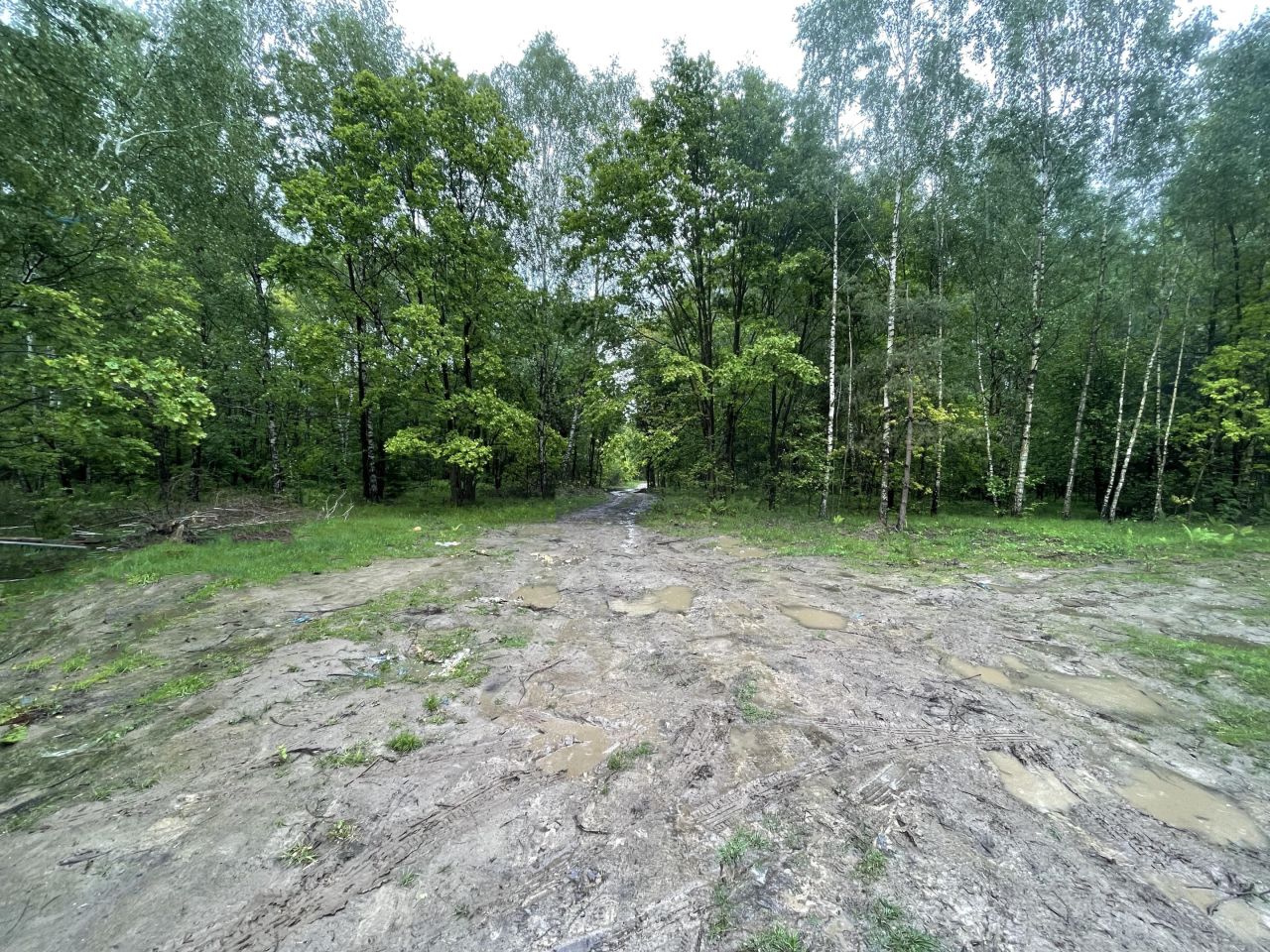 Działka rolno-budowlana Kozłowiec. Zdjęcie 5