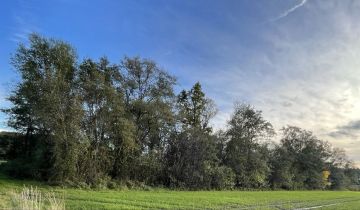 Działka rekreacyjna Niwnik