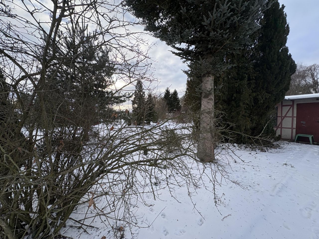 Działka rod Sulechów, ul. Gajowa. Zdjęcie 3