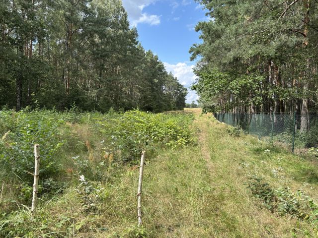 Działka budowlana Sokolniki, Lawendowa/Literacka. Zdjęcie 5