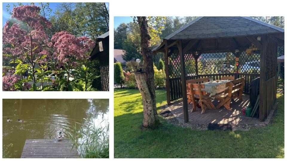 Działka rod Wadąg. Zdjęcie 3