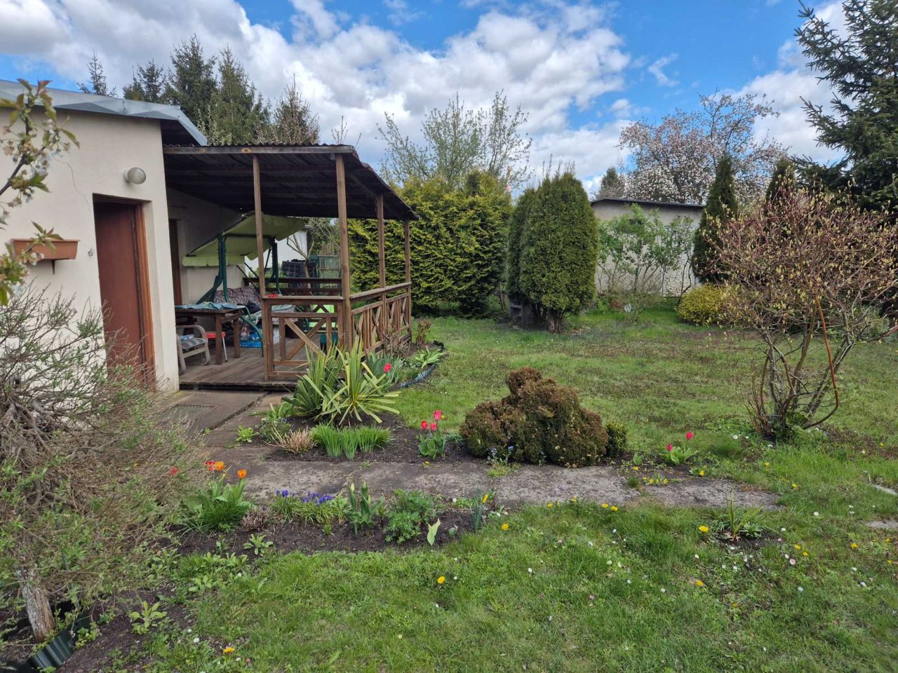 Działka rod Toruń. Zdjęcie 3