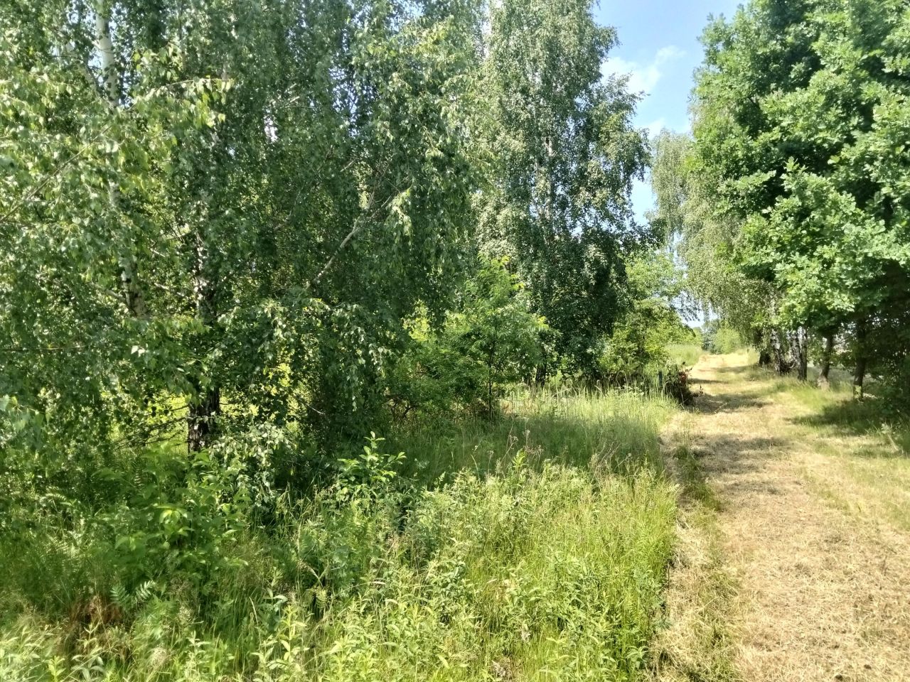 Działka budowlana Józefów, Józefów. Zdjęcie 6